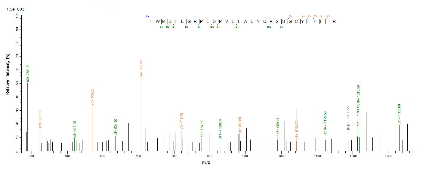 Viral Nucleoprotein protein
