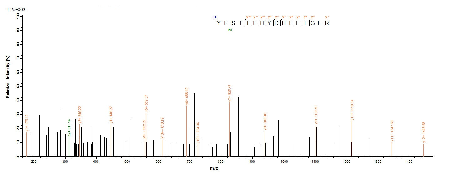 Human ZG16B protein