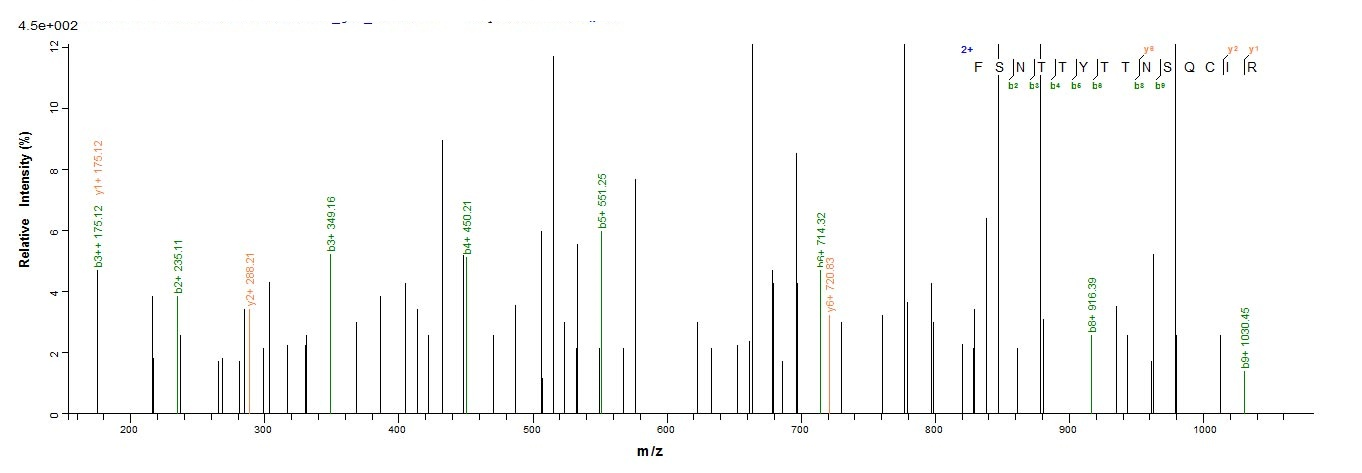 Human ERVW-1 protein