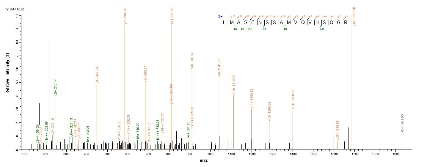 Viral Envelope glycoprotein protein