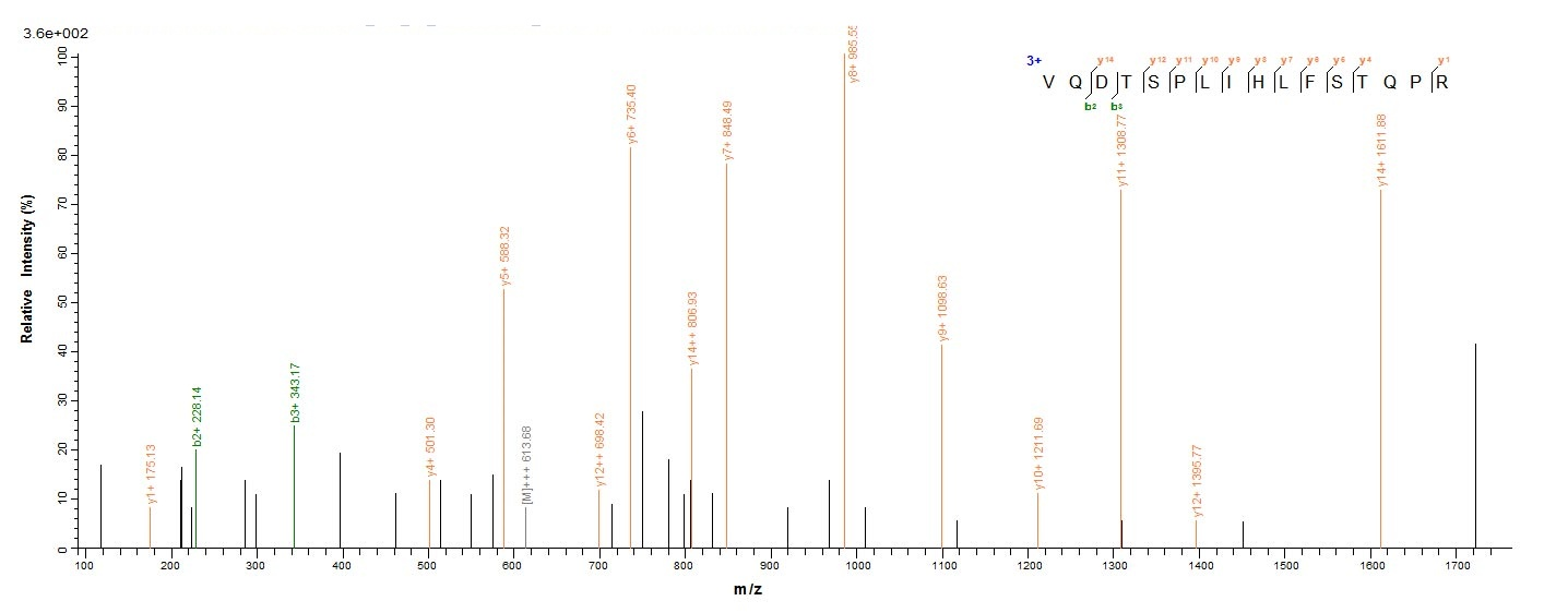 E. coli glcC protein