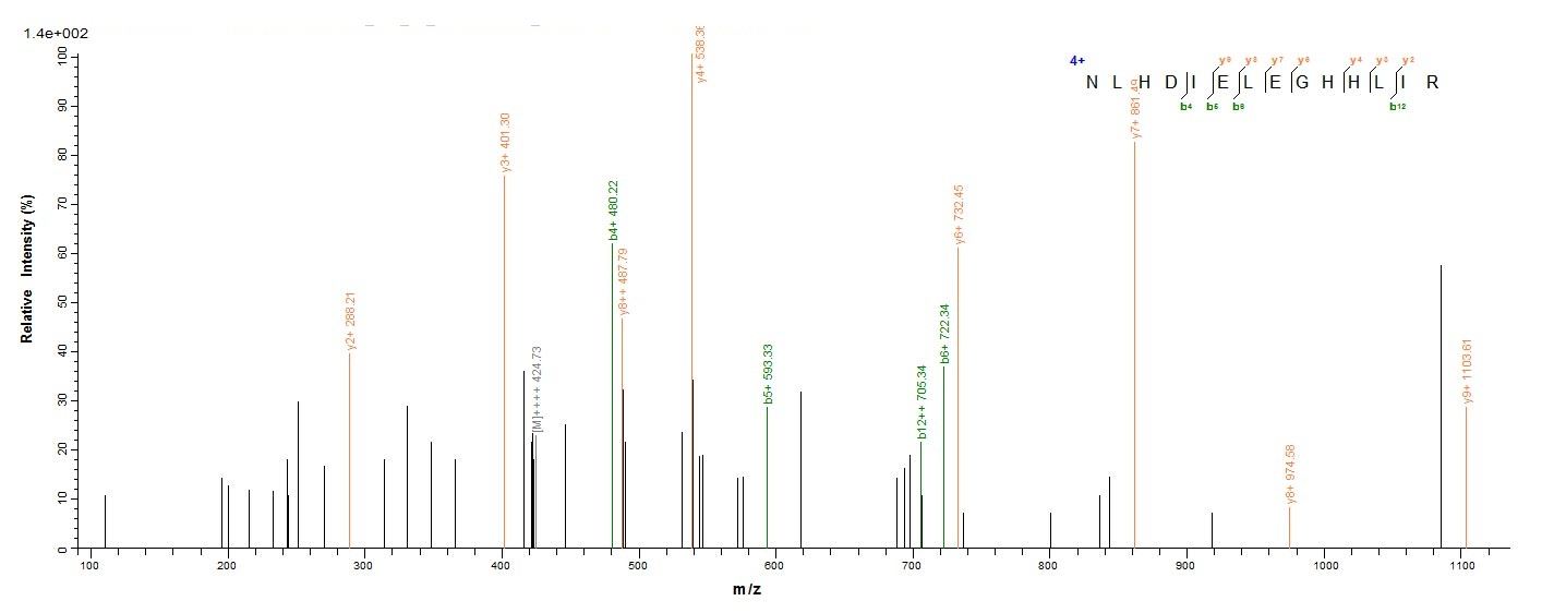 E. coli glcC protein