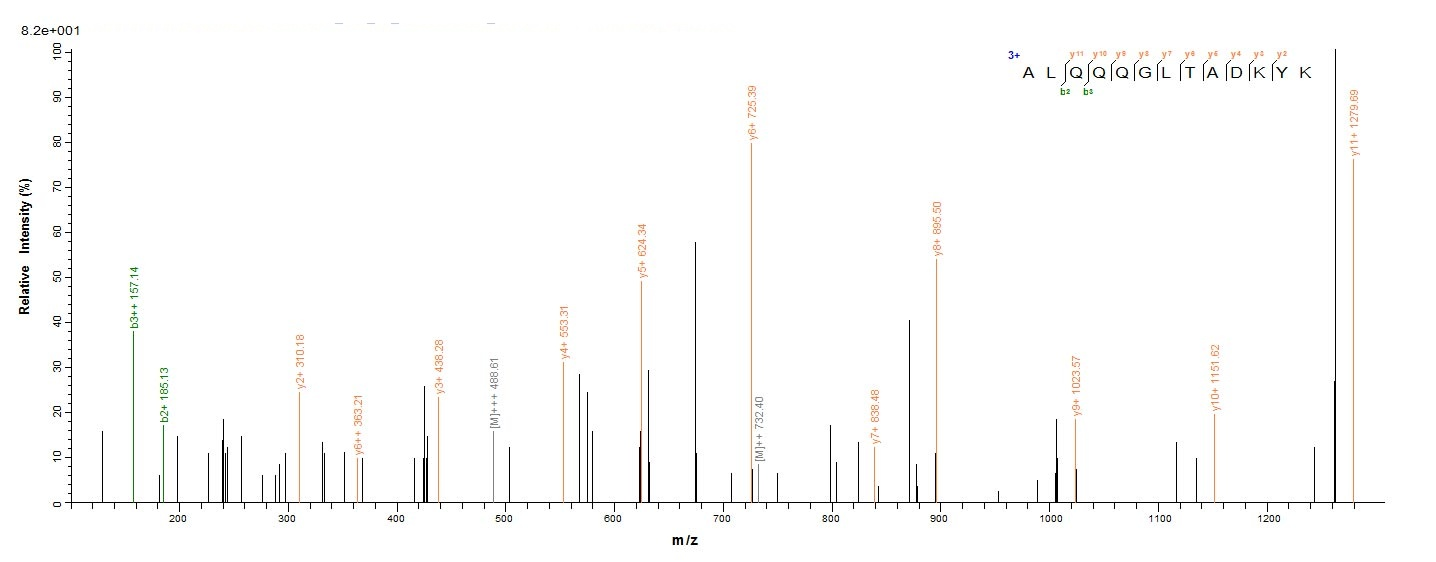 Bacterial prsA protein