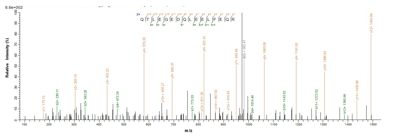 Bacterial mecA protein