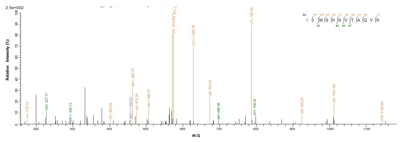 Bacterial mecA protein