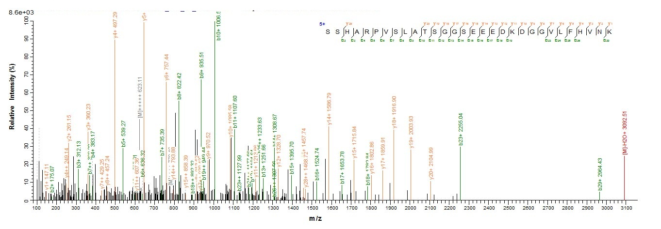 Human VASH2 protein