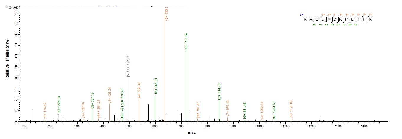Human VASH2 protein
