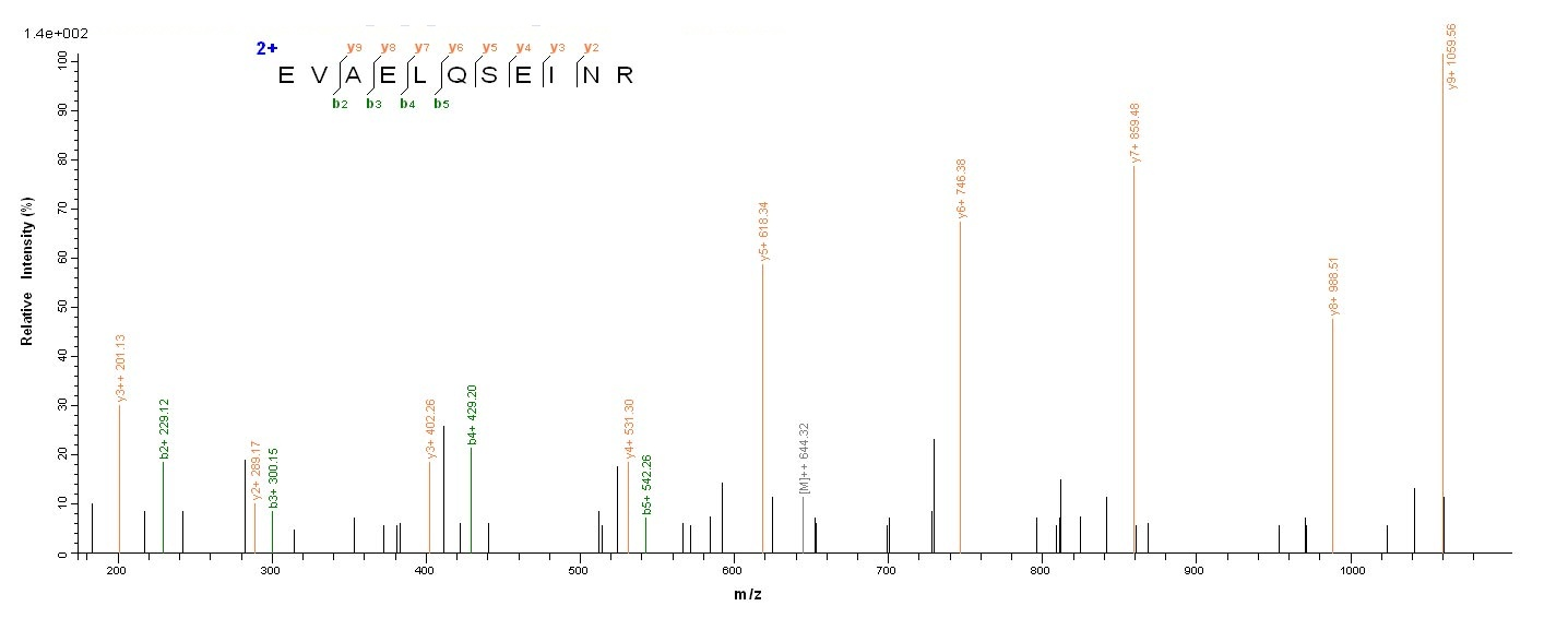 Bacterial CBO2730 protein