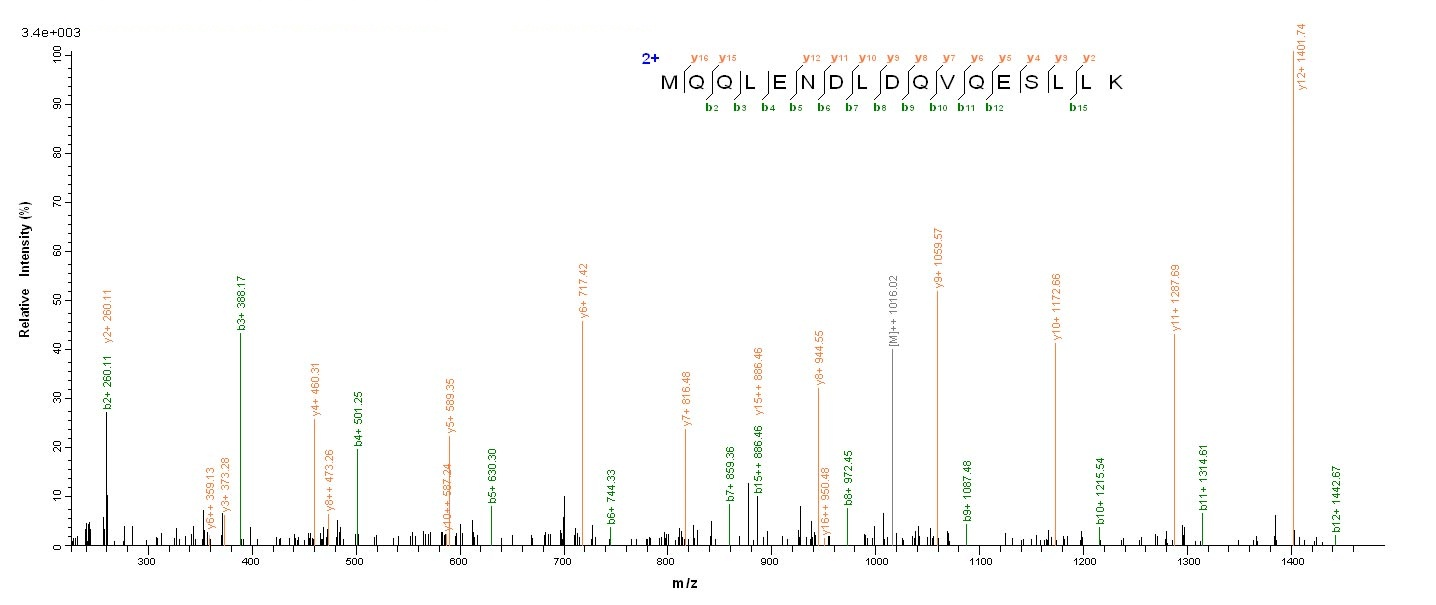 Animal TM1 protein