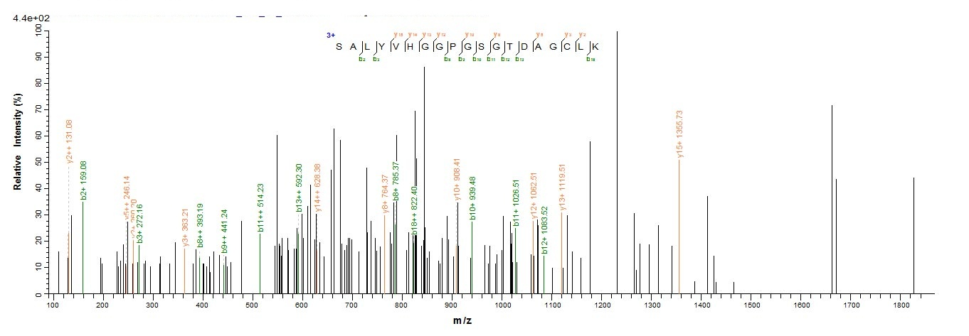 Bacterial pip protein