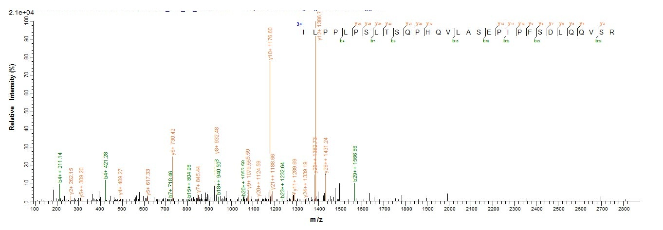 Human LAMTOR1 protein