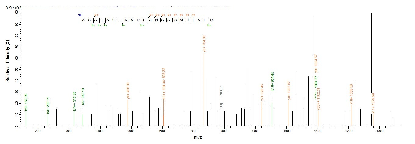 Human DLAT DLTA protein
