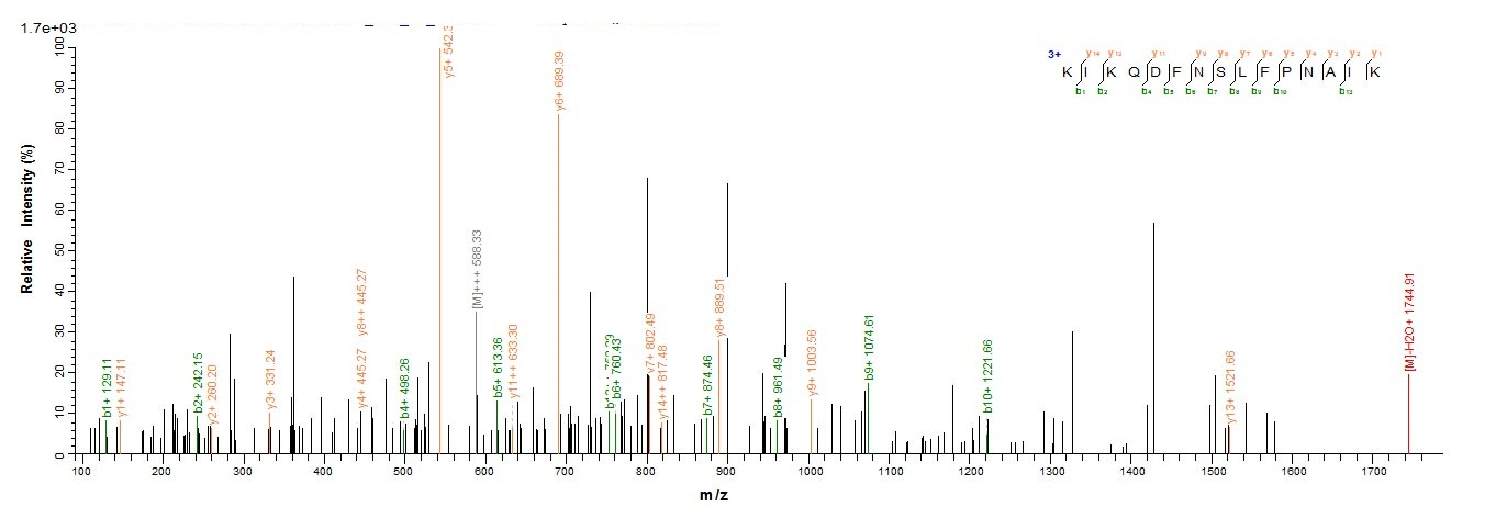 Mouse RES protein