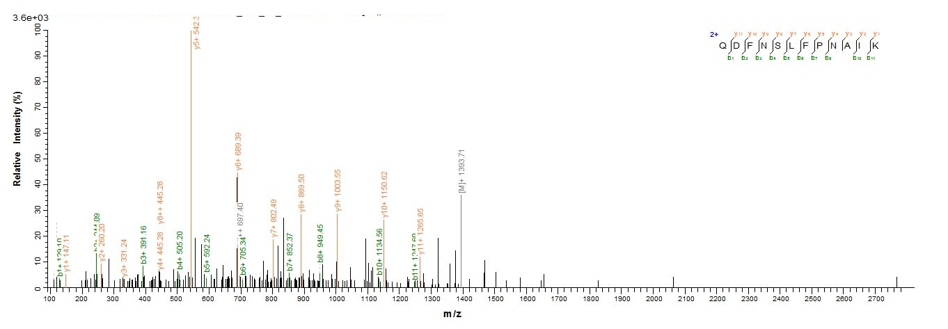 Mouse RES protein
