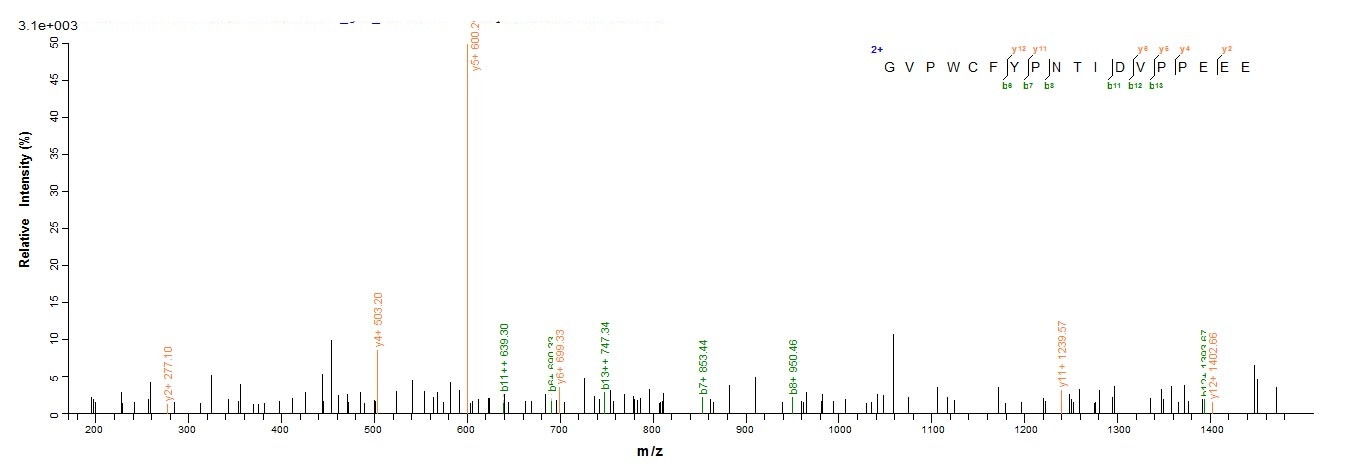 Human TFF1 protein