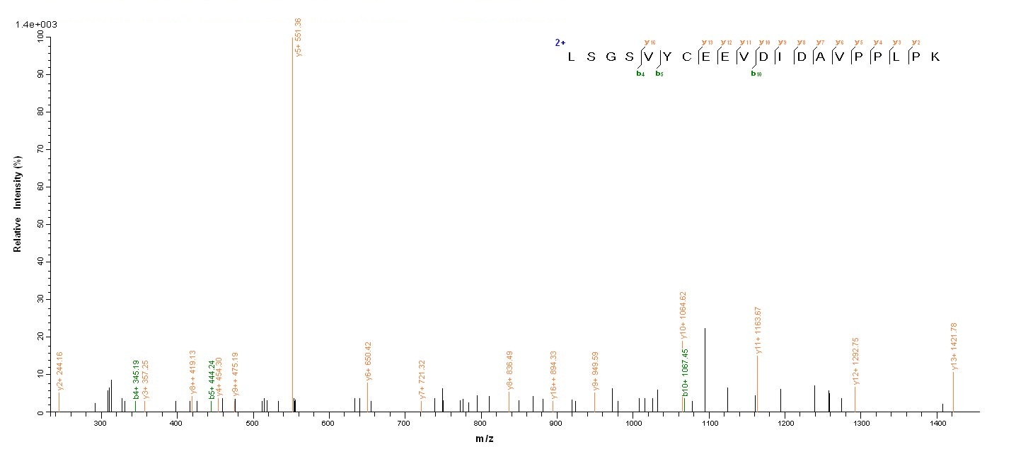 Human OGN protein