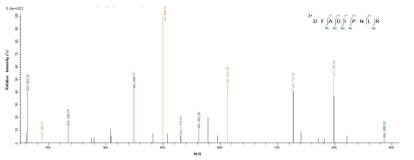 Human OGN protein