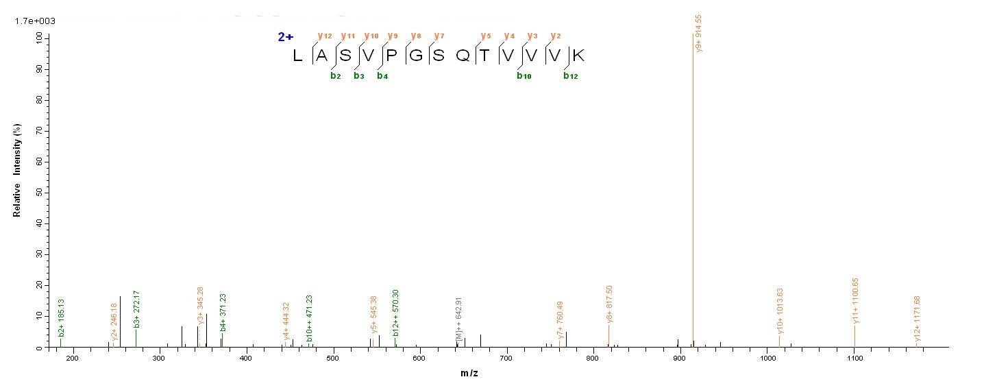 Human PODXL protein