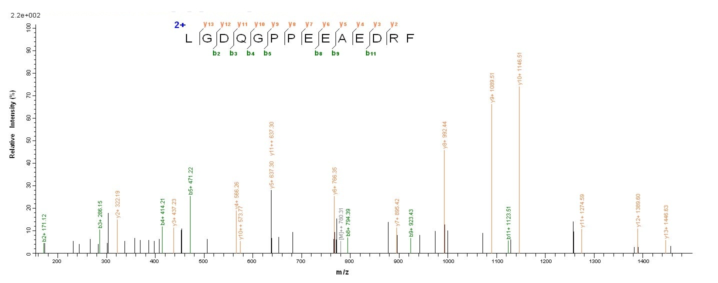 Human PODXL protein