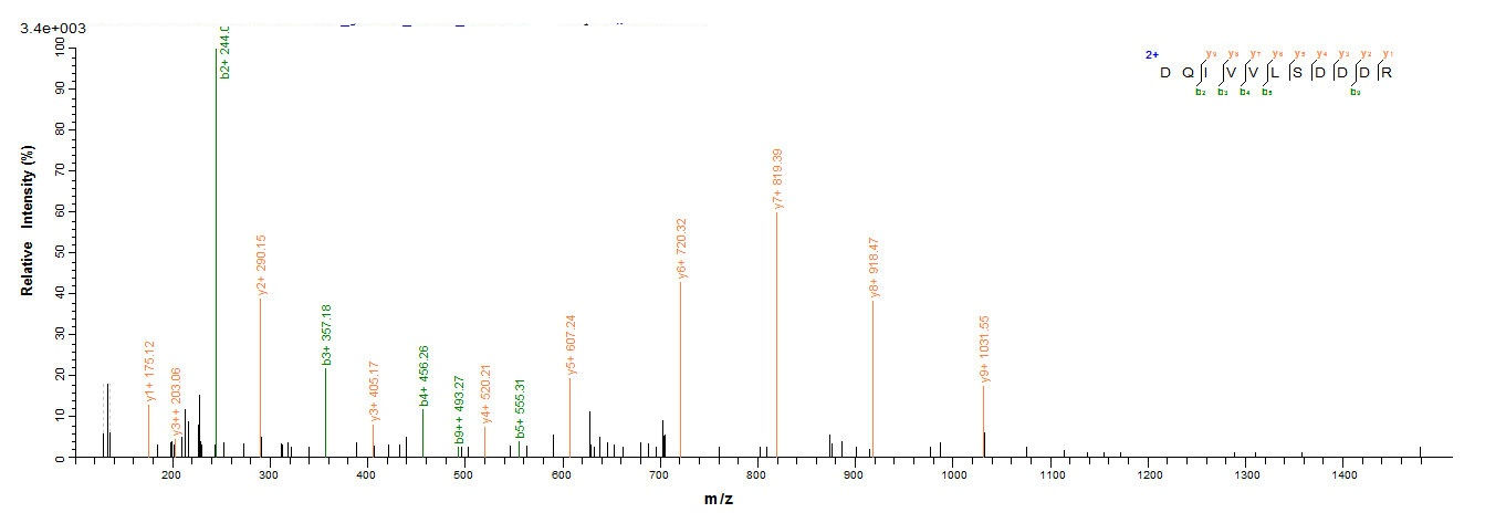 Dog Allergen Can f 2 protein