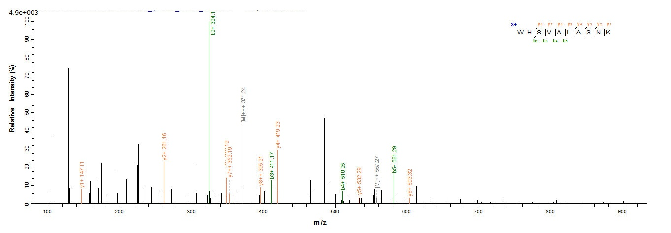 Dog Allergen Can f 2 protein