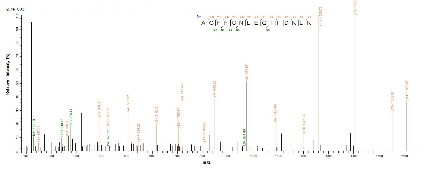 Bacterial Calprotectin protein