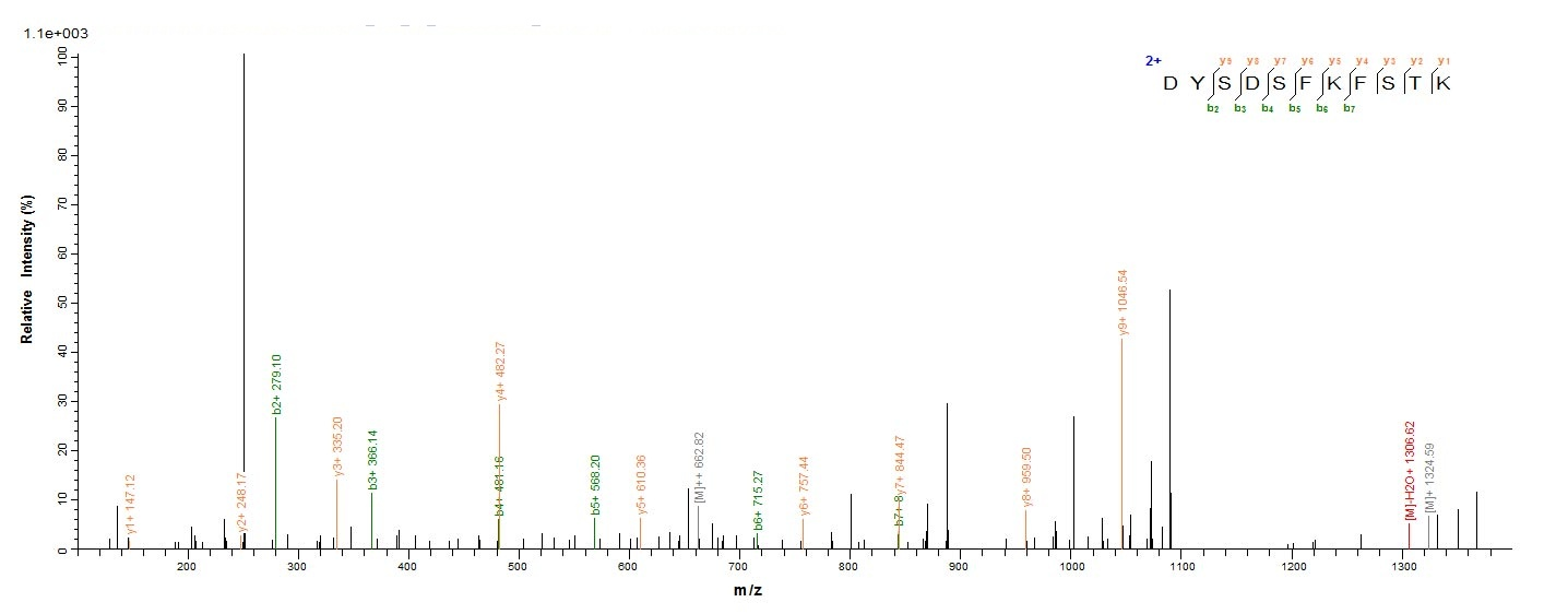 Bacterial Calprotectin protein