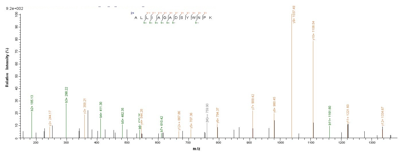 Viral kgp protein