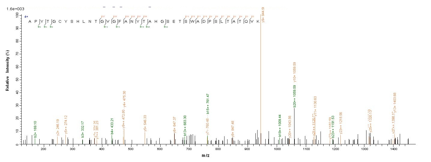 Viral kgp protein