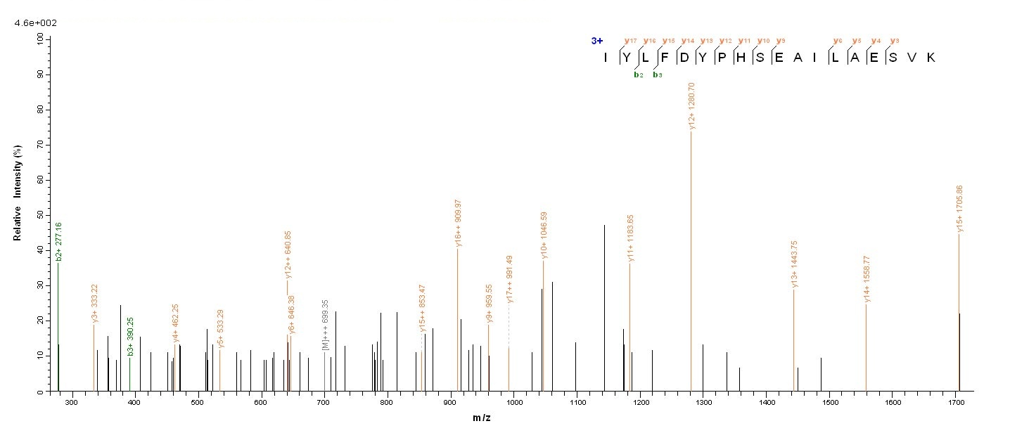 Viral K3L protein