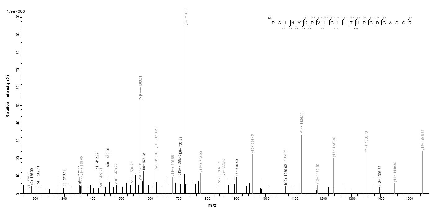 Plant Gamma-glutamyl hydrolase protein