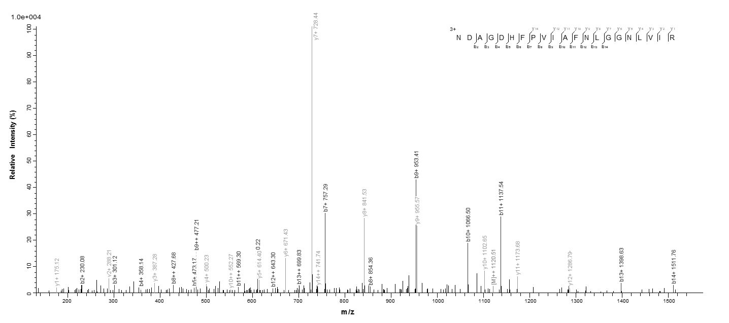 Plant Gamma-glutamyl hydrolase protein