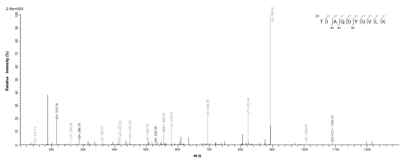 Hamster PRDX1 protein