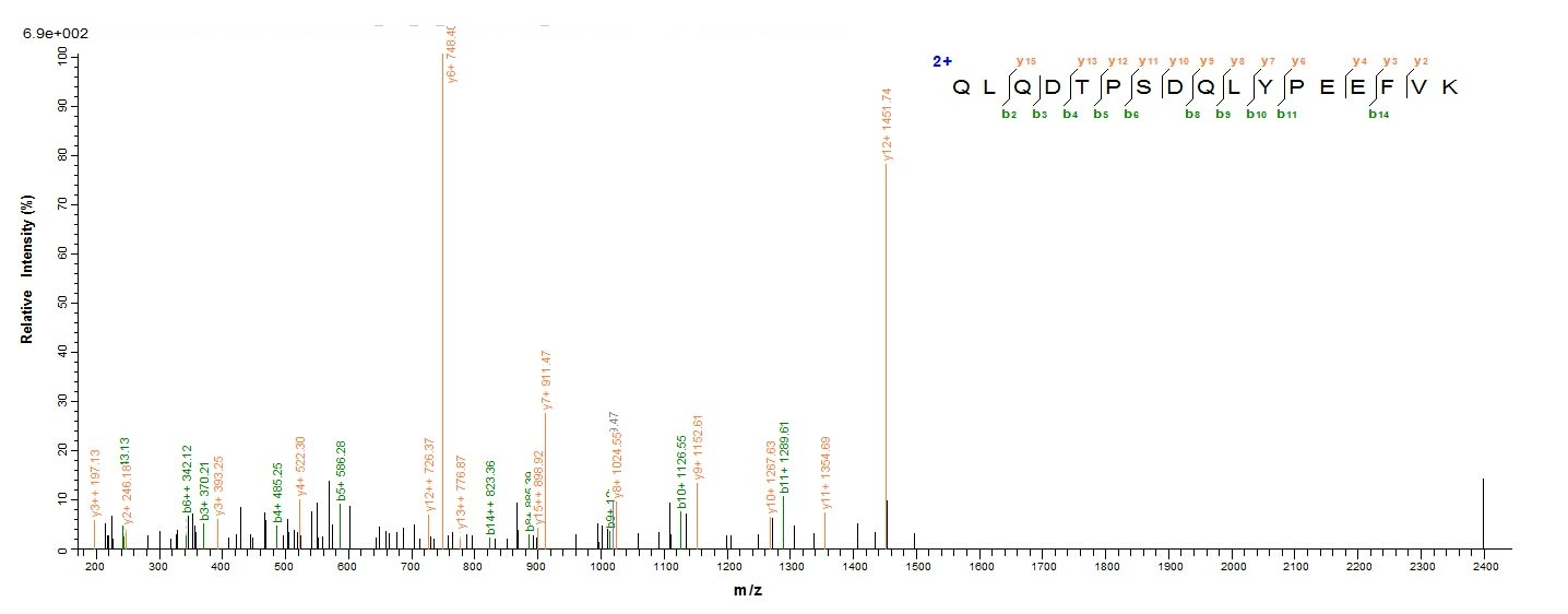 Bacterial pepA protein