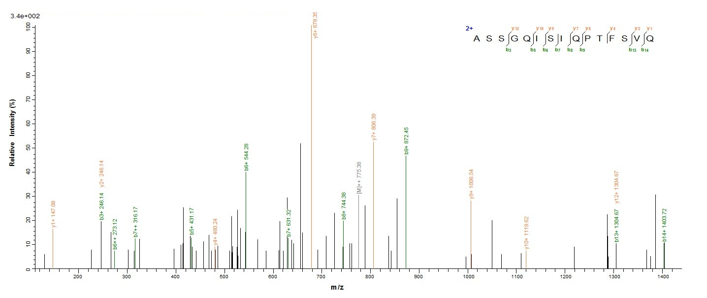 Viral NP protein