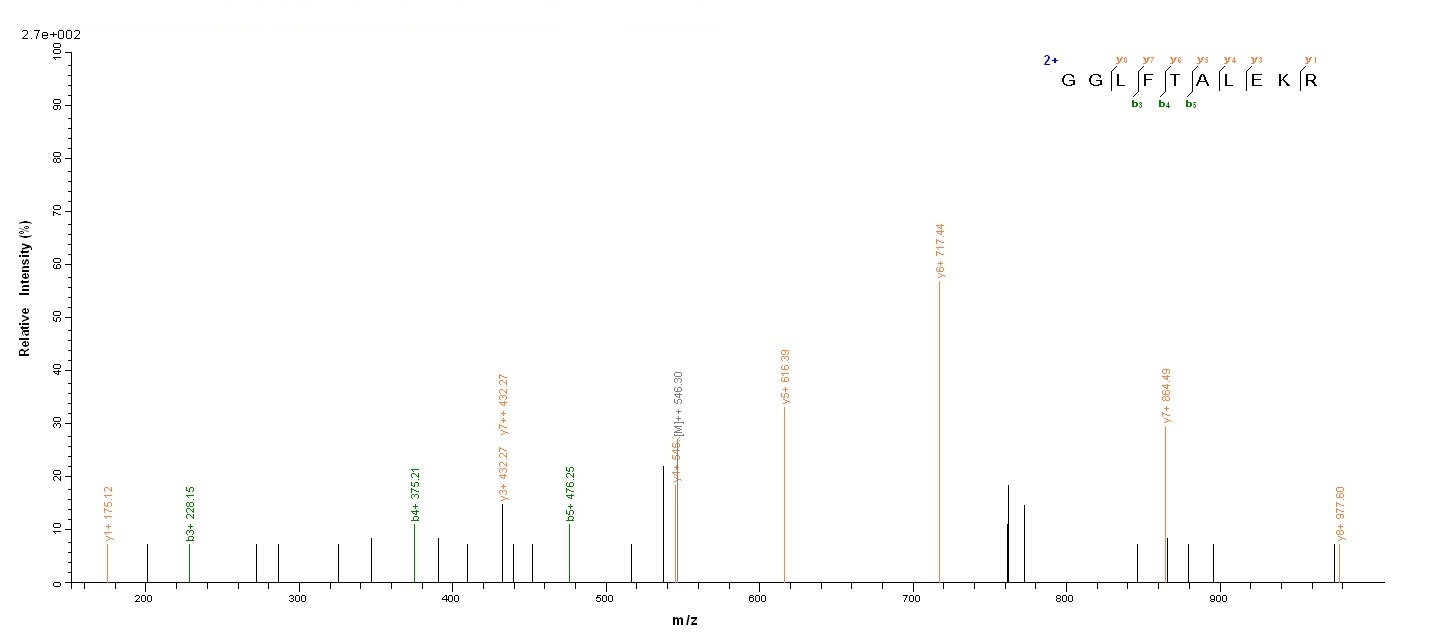 Human CHD1L protein