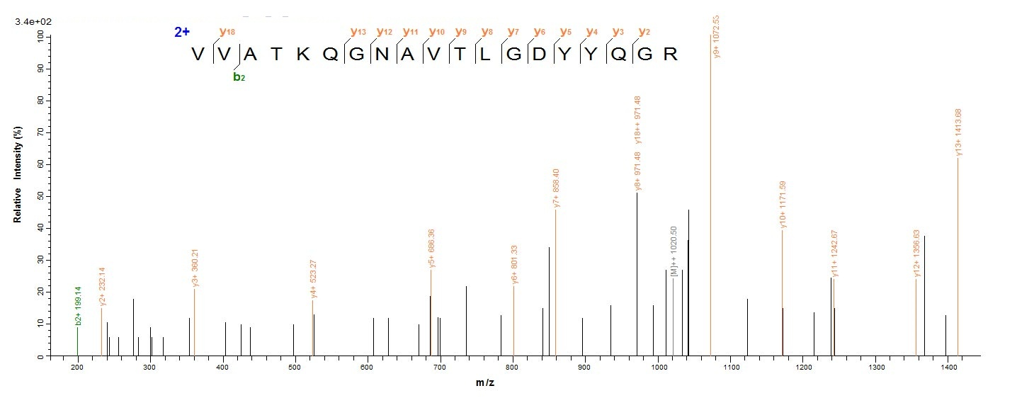 Human LSR protein