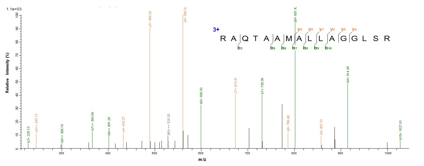Human LSR protein
