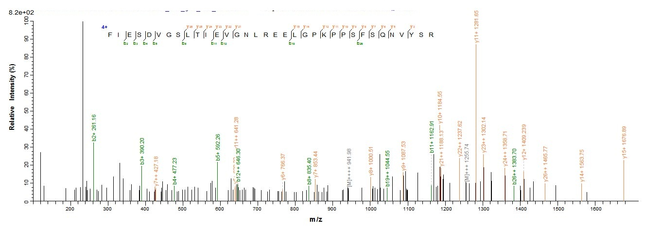 Viral wac protein
