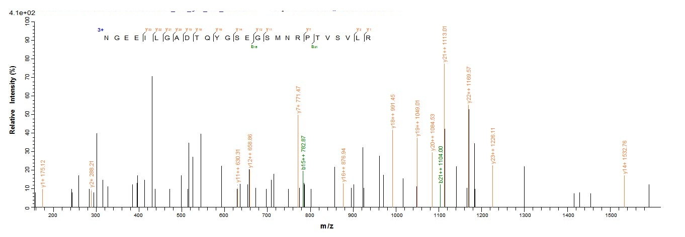 Viral wac protein