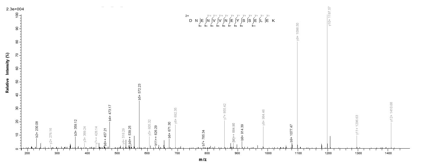Human FGB protein