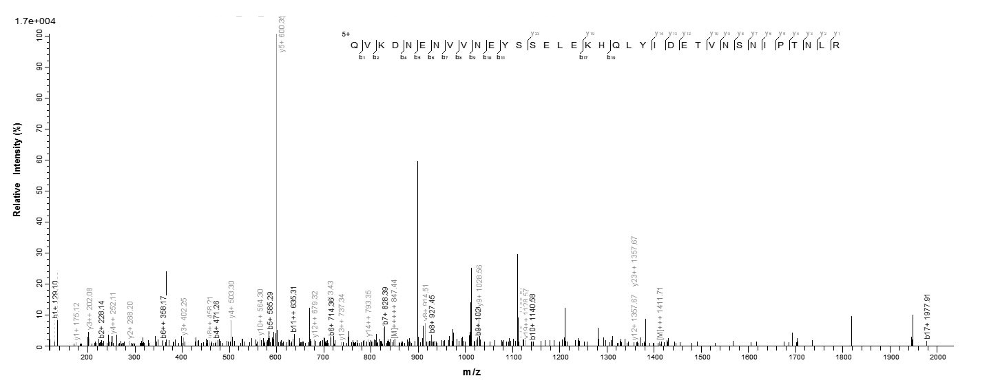 Human FGB protein