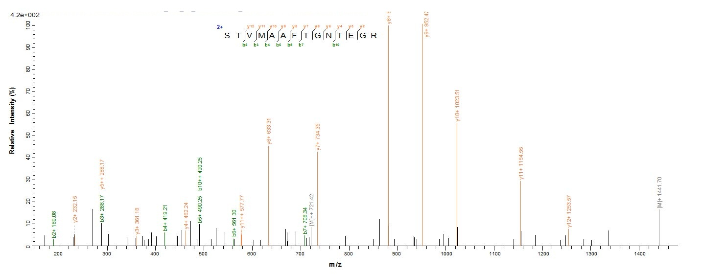 Viral NP protein