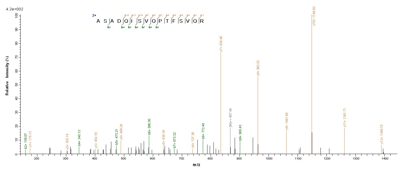 Viral NP protein