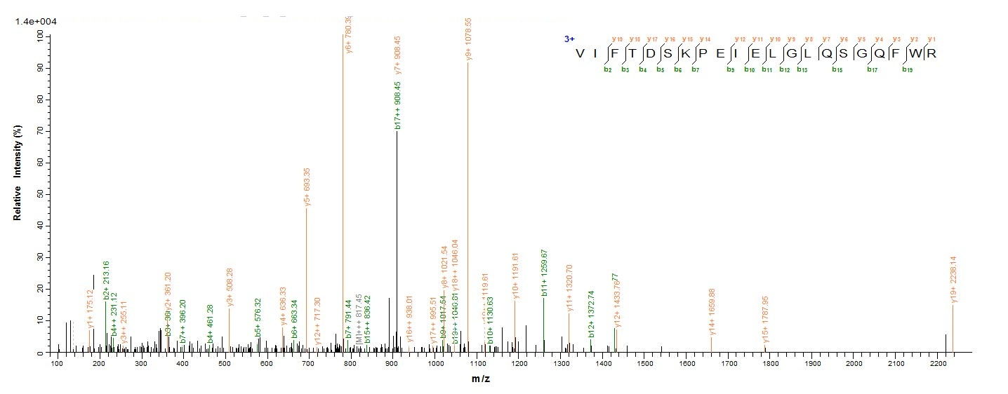 Bacterial isdB protein