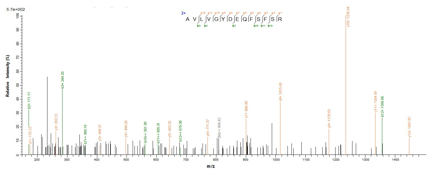 Mouse Pdxp protein