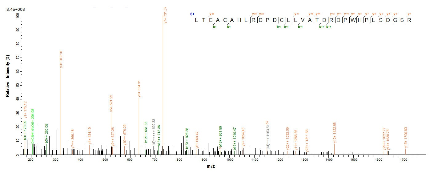 Mouse Pdxp protein