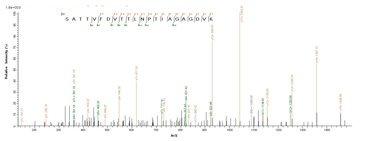 Bacterial ompA protein