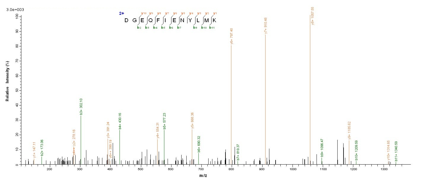 Viral NS1 protein