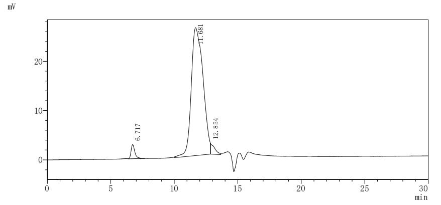 Human ICA1 protein